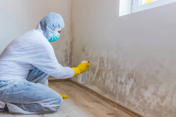 Best Industrial Mold Remediation in Eastmont, WA